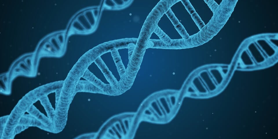 DNA identification can be used to match remains with living relatives